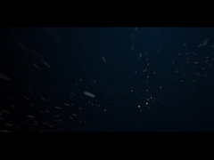 IP66 आउटडोर एलईडी लैंडस्केप लाइट 10W सीओबी ट्री गार्डन स्पिक लाइटिंग