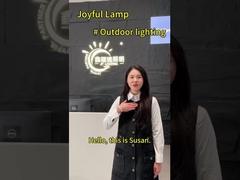 पीसी आरजीबी रिमोट कंट्रोल के साथ स्टेनलेस स्टील 316 आसान स्थापना PAR 56 स्विमिंग पूल रोशनी