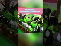 अनुकूलन विकल्प