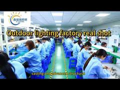 लैंडस्केप लाइटिंग में पेड़ों को कैसे रोशन करें