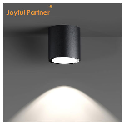 IP65 छत प्रकाश सतह घुड़सवार डाउनलाइट वाटरप्रूफ स्पॉट लाइट 6000K Smd सफेद एलईडी डाउनलाइट