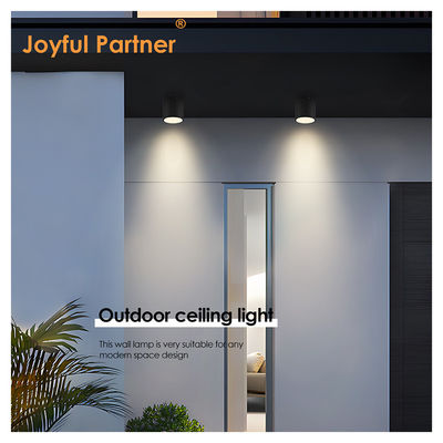 IP65 छत प्रकाश सतह घुड़सवार डाउनलाइट वाटरप्रूफ स्पॉट लाइट 6000K Smd सफेद एलईडी डाउनलाइट