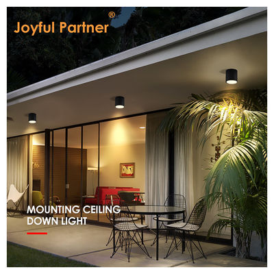 IP65 छत प्रकाश सतह घुड़सवार डाउनलाइट वाटरप्रूफ स्पॉट लाइट 6000K Smd सफेद एलईडी डाउनलाइट