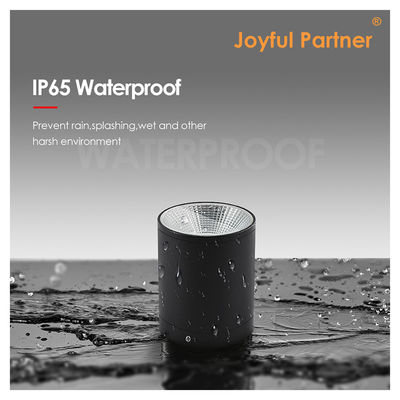 आनंददायक दीपक 12W आधुनिक एक्सट्रूडेड एल्यूमीनियम मिश्र धातु एलईडी दीवार दीपक क्री कोब एलईडी अच्छी सुरक्षा प्रदर्शन के साथ