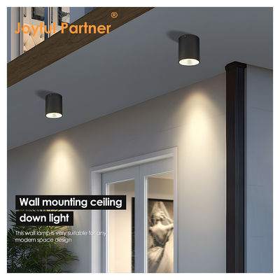 सीई IP65 छत प्रकाश सतह घुड़सवार नीचे प्रकाश जलरोधक स्पॉट प्रकाश Cree Cob LED With Round Design