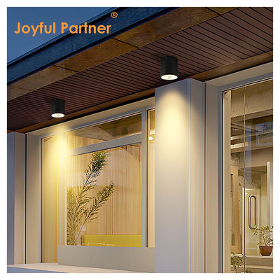 15W सीओबी एलईडी डाउनलाइट सिलेंडर वॉल माउंट लाइट कॉम्पैक्ट डिजाइन सतह फिक्स आउटडोर के लिए