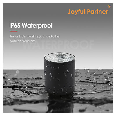 15W सीओबी एलईडी डाउनलाइट सिलेंडर वॉल माउंट लाइट कॉम्पैक्ट डिजाइन सतह फिक्स आउटडोर के लिए