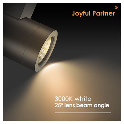 डबल हेड वॉल लैंप वाटरप्रूफ सर्कुलर इमिटिंग लाइट अप एंड डाउन ब्लैक हाउसिंग विथ एल्यूमीनियम एलॉय